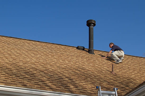 Roof Moss and Algae Removal in New Boston, TX